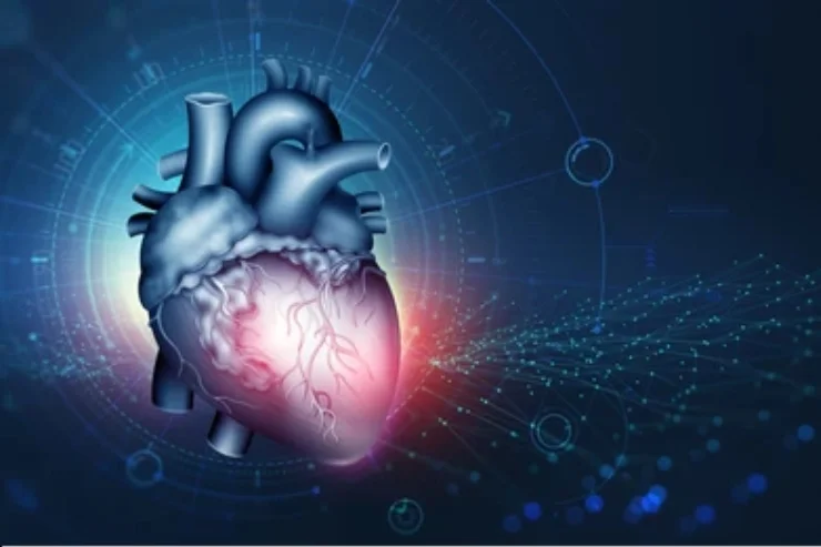 Cardiology
