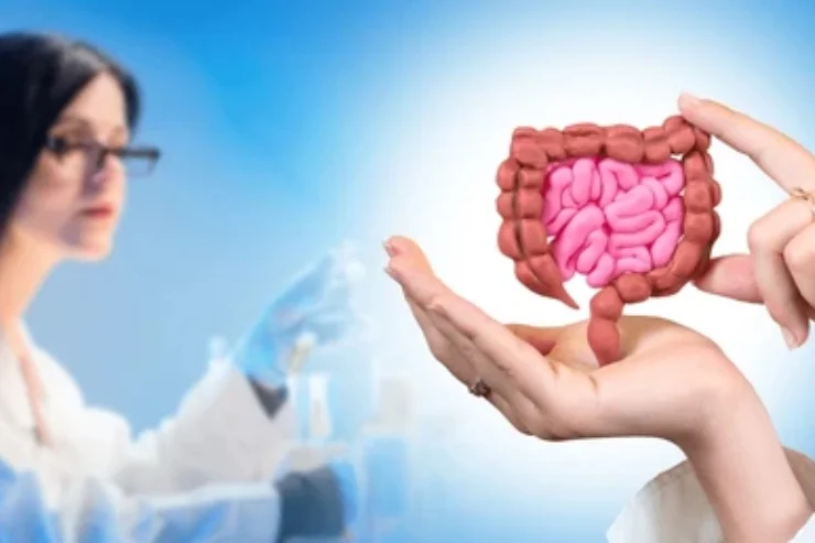 Gastroenterology